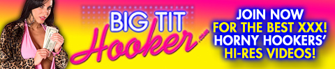 BigTitHooker_Banners_480x100_03